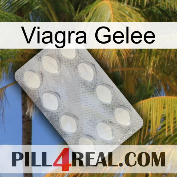 Viagra Jelly 16